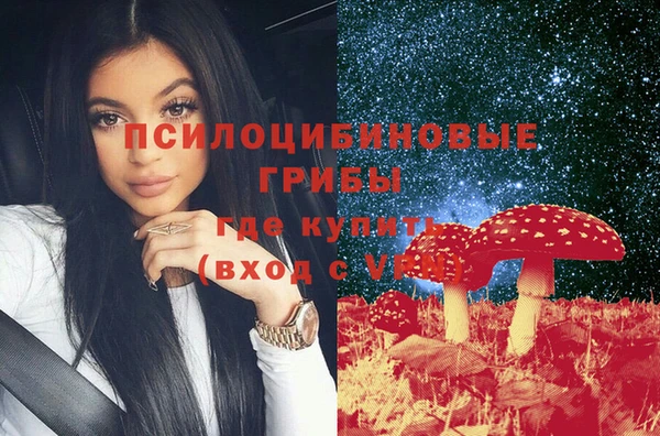дмт Протвино