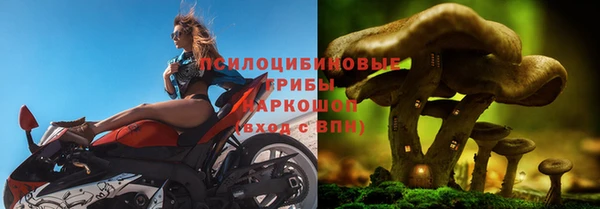 дмт Протвино
