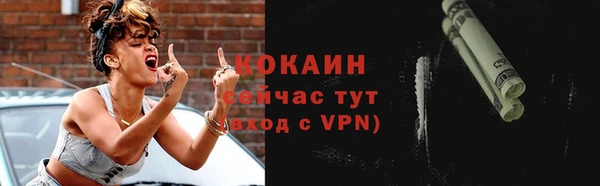 дмт Протвино