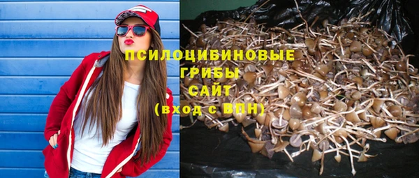 СК Приозерск