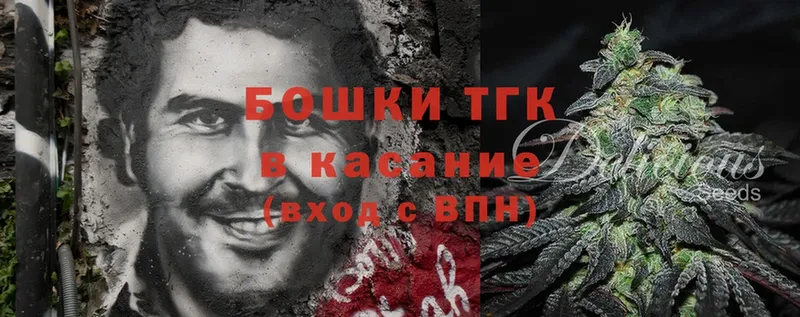 Конопля гибрид  kraken   Бежецк 